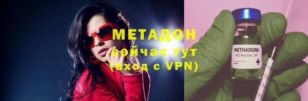 индика Арсеньев