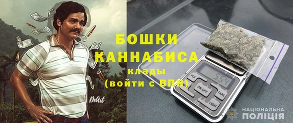 PSILOCYBIN Аркадак