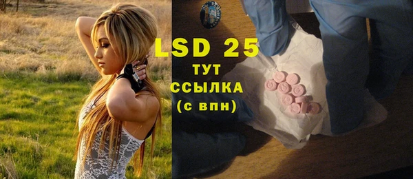 PSILOCYBIN Аркадак