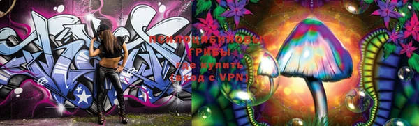 PSILOCYBIN Аркадак