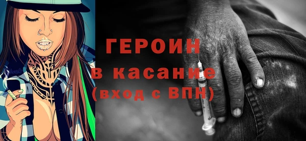 индика Арсеньев