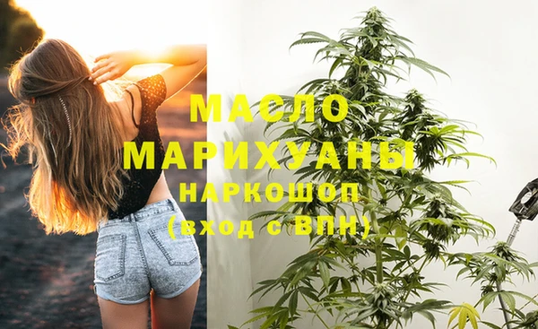 индика Арсеньев