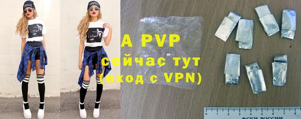 индика Арсеньев